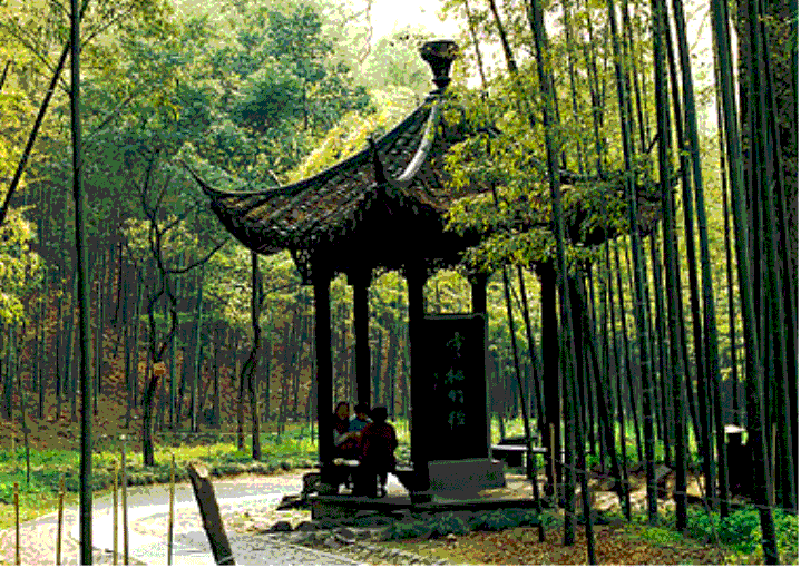 金年汇